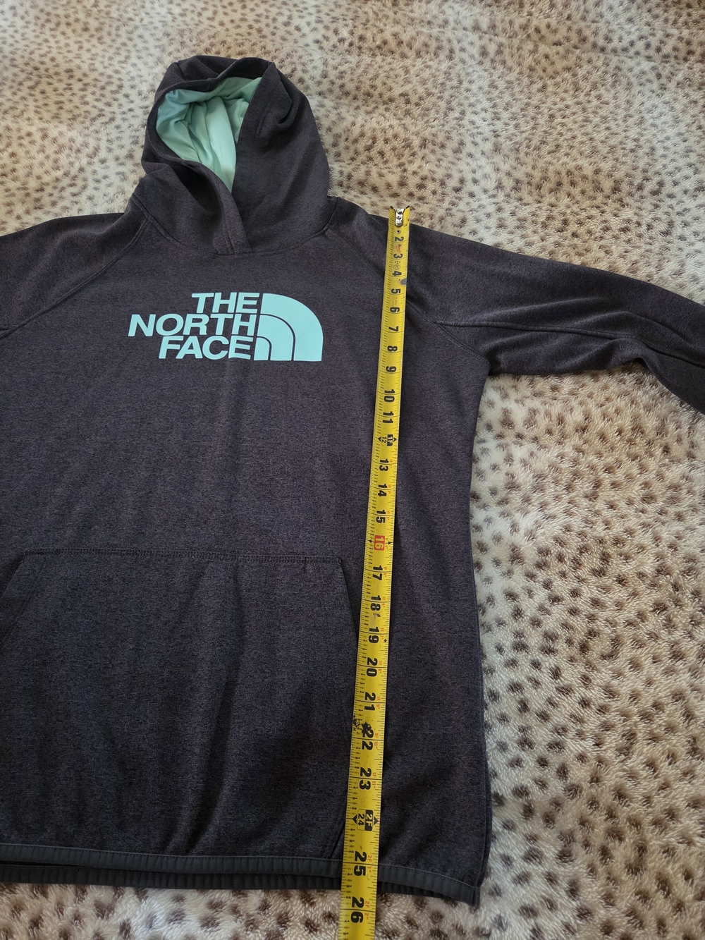 The North Face Charcoal Hoodie with Aqua Logo - Picture 6 of 10